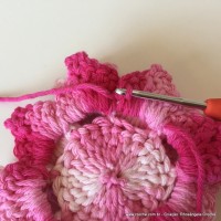 Flor Priscila 2 (102)