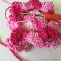 Flor Priscila 2 (104)