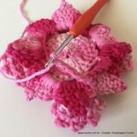 Flor Priscila 2 (106)