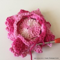 Flor Priscila 2 (108)