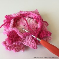 Flor Priscila 2 (109)