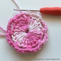 Flor Priscila 2 (11)