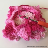 Flor Priscila 2 (111)