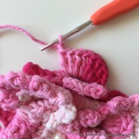 Flor Priscila 2 (113)