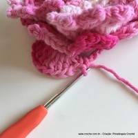 Flor Priscila 2 (115)