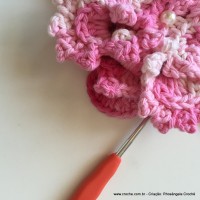 Flor Priscila 2 (116)