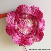 Flor Priscila 2 (118)