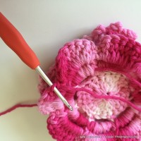 Flor Priscila 2 (119)