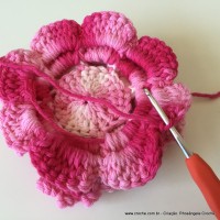 Flor Priscila 2 (120)