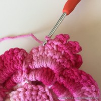 Flor Priscila 2 (122)