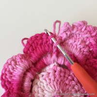 Flor Priscila 2 (126)