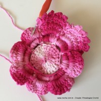 Flor Priscila 2 (127)