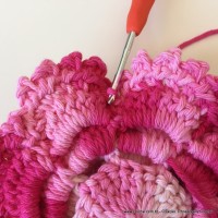 Flor Priscila 2 (129)