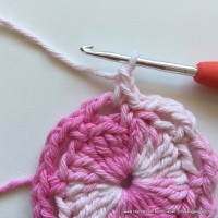 Flor Priscila 2 (13)