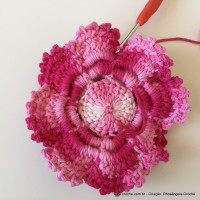 Flor Priscila 2 (130)