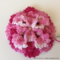 Flor Priscila 2 (132)