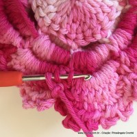 Flor Priscila 2 (134)