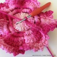 Flor Priscila 2 (136)