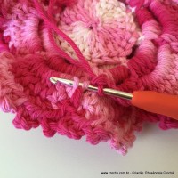 Flor Priscila 2 (137)