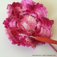 Flor Priscila 2 (138)