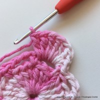 Flor Priscila 2 (14)