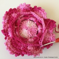 Flor Priscila 2 (141)