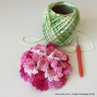 Flor Priscila 2 (142)