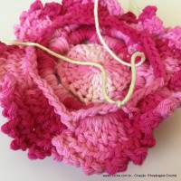 Flor Priscila 2 (143)