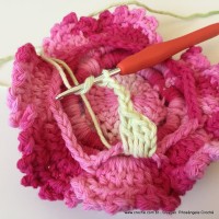 Flor Priscila 2 (147)