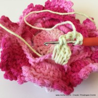 Flor Priscila 2 (148)