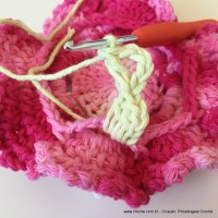 Flor Priscila 2 (149)