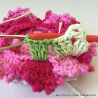 Flor Priscila 2 (151)