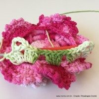 Flor Priscila 2 (152)