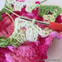 Flor Priscila 2 (154)