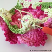 Flor Priscila 2 (155)