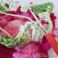 Flor Priscila 2 (156)