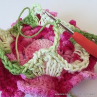 Flor Priscila 2 (157)