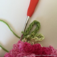 Flor Priscila 2 (160)