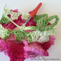 Flor Priscila 2 (163)