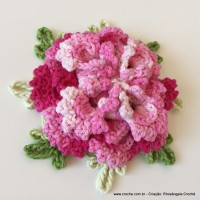 Flor Priscila 2 (167)