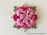 Flor Priscila 2 (168)