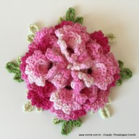 Flor Priscila 2 (169)