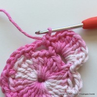 Flor Priscila 2 (17)