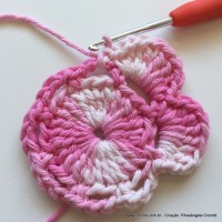 Flor Priscila 2 (19)