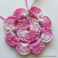 Flor Priscila 2 (20)