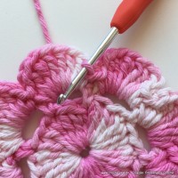 Flor Priscila 2 (21)