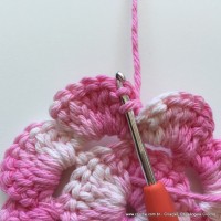 Flor Priscila 2 (23)