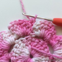 Flor Priscila 2 (25)