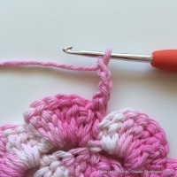 Flor Priscila 2 (26)