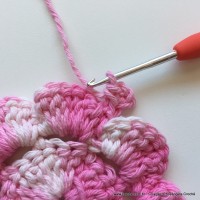 Flor Priscila 2 (28)